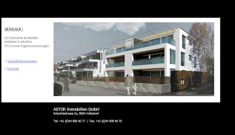 http://www.astor-immobilien.ch/